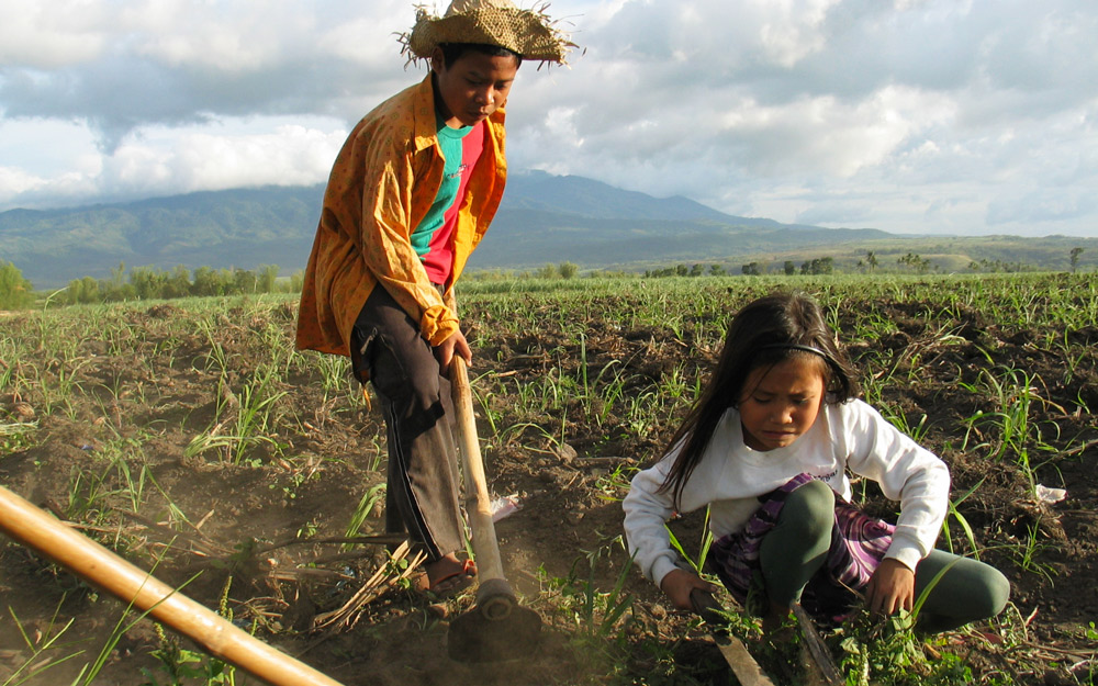 children working in a field